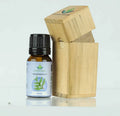 100% Pure Organic Thuja (Platycladus orientials)