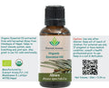 100% Pure Organic Himalayan Fir (Abis Spectabilis) Oil -10 ML